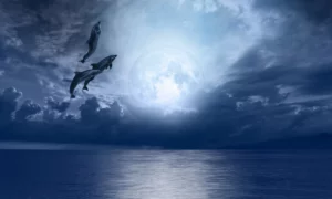 Horóscopo semanal | Semana 12-18 | Predicciones | Luna Nueva | Que Onda