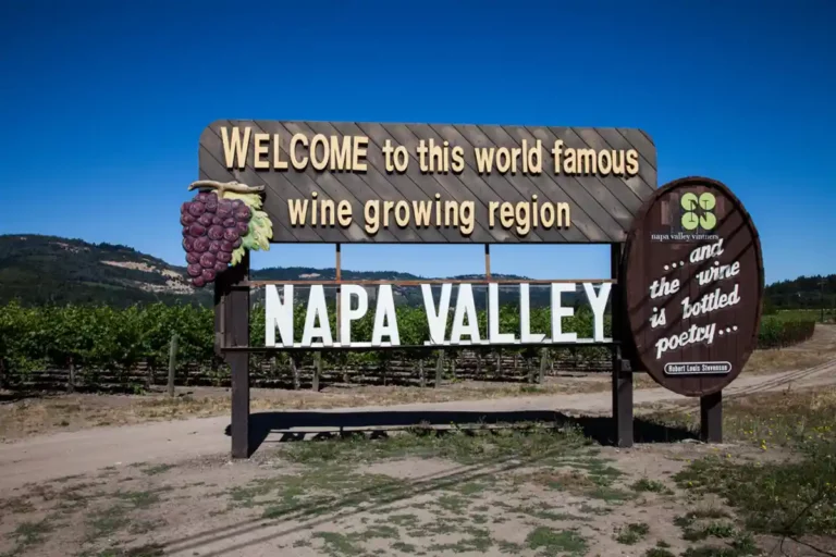 Napa Valley entre copas y aventuras este 2024 | Qué Onda |