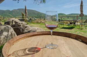 Vive experiencias inolvidables en Valle de Guadalupe, México