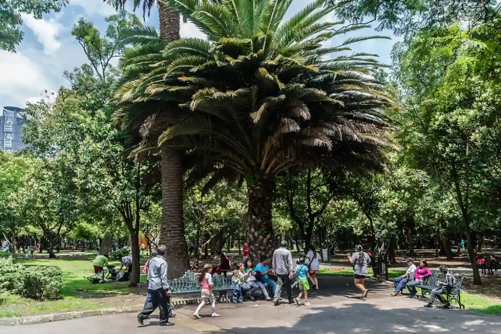 Bosque de Chapultepec ciudad de México | Qué Onda