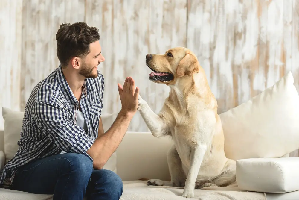 La conexión emocional que tienes con tu perro es única, valórala 