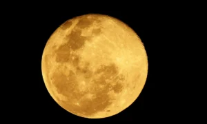 Horóscopo semanal de feb 4-10 | Luna Nueva en Acuario | Qué Onda