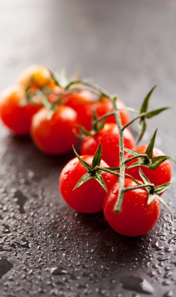 Enchilada Verde Suiza: Ingrediente esencial | tomates de Cherry | Qué Onda