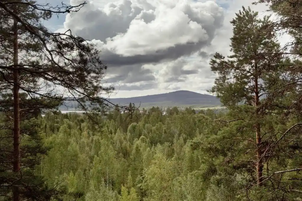 Vista panorámica de Harads Suecia | Qué Onda