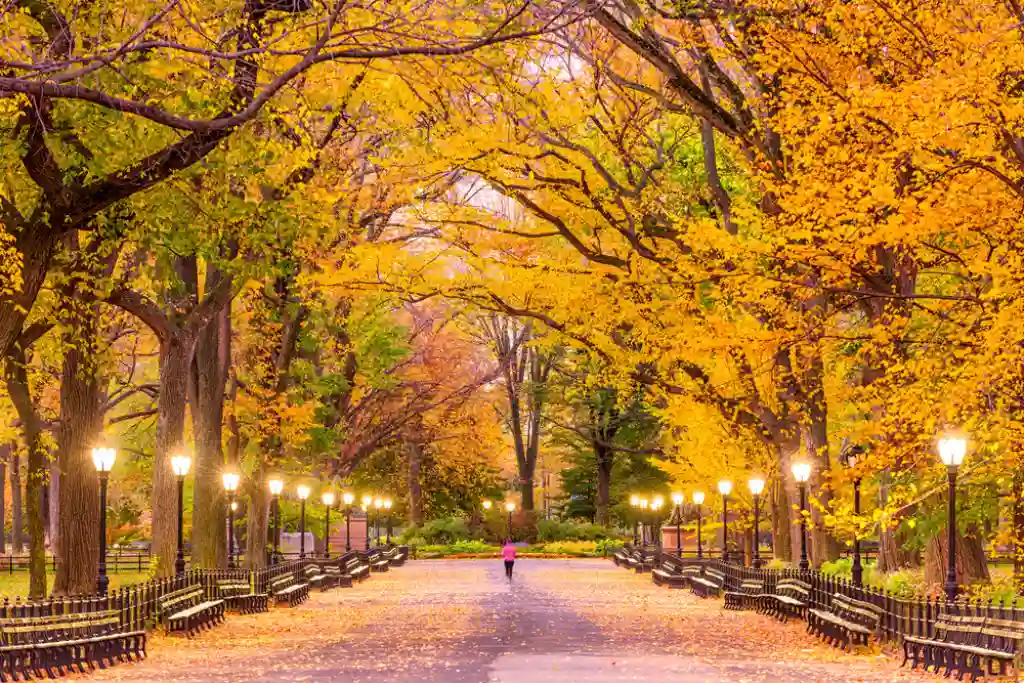 Central Park, NYC | Qué Onda