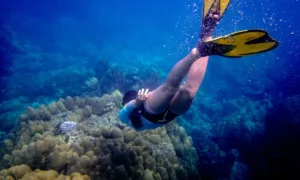 Snorkeling | los 10 mejores destinos en el mundo | Turismo | Qué Onda