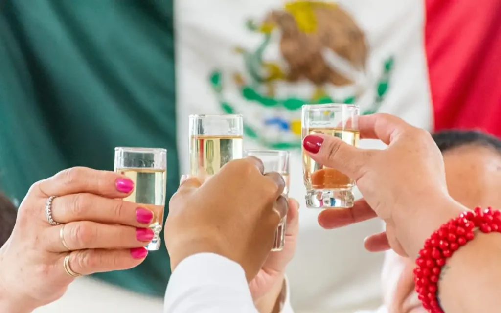 Top 10 tequilas blancos: elegancia, tradición y sabor | Qué Onda |