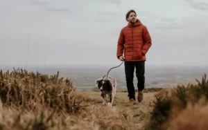 Los perros están evolucionando para leer tus emociones | Qué Onda |