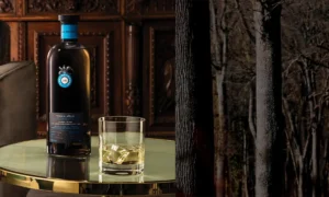 La Casa de Dragones | Tequila | México | San Miguel de Allende | Qué Onda