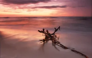 El celaje: el arte y la ciencia del cielo en su esplendor | Qué Onda |