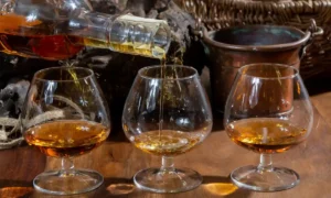 Coñac y Brandy | Qué Onda