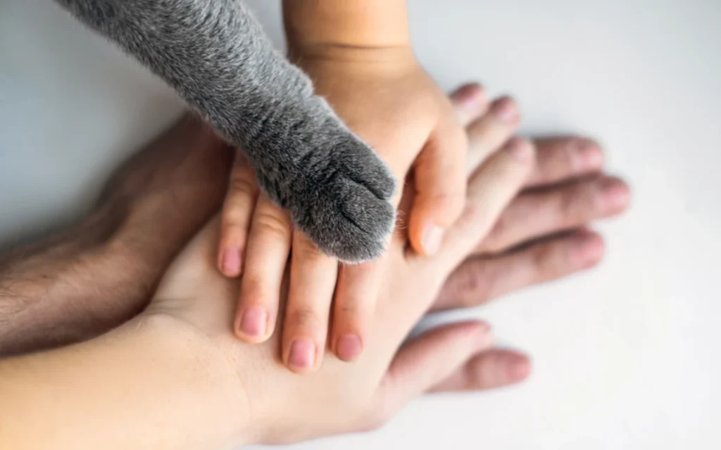 Día Internacional de los Derechos Humanos y Animales : justicia global | Qué Onda |