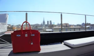 Bolso Birkin de Hermès en Walmart | Qué Onda