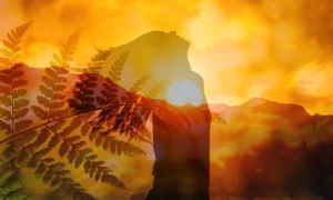 Horóscopo Semanal Mercurio en Acuario y la luna nueva marcan ajustes y renovaciones | Qué Onda