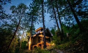 Oregon Treehouse Getaway: Un Paraíso Natural | Que Onda