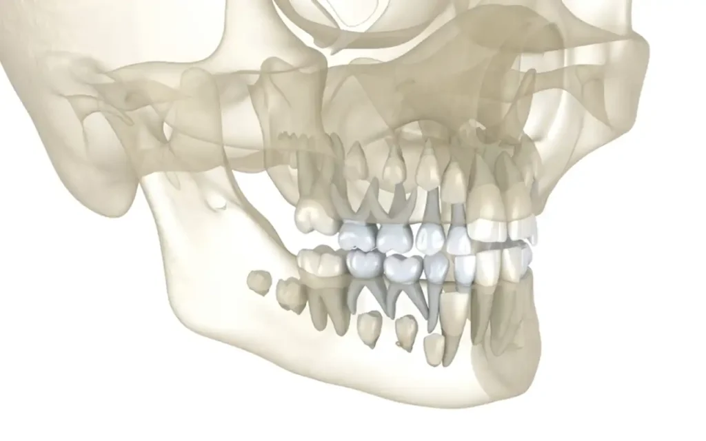 Avances en regeneración dental revolucionan la odontología.