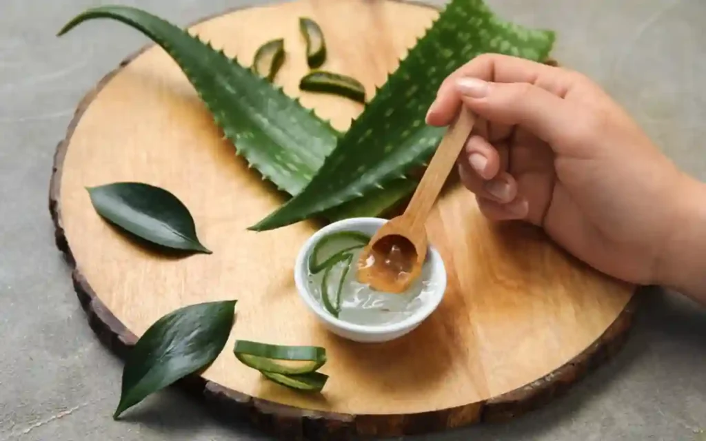 os mejores geles de aloe vera en farmacias | Qué Onda |