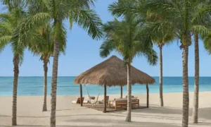 Riviera Maya Edition at Kanai | Qué Onda