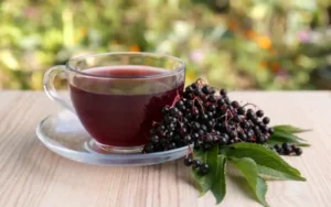 El jugo de saúco regula el azúcar en la sangre | Qué Onda