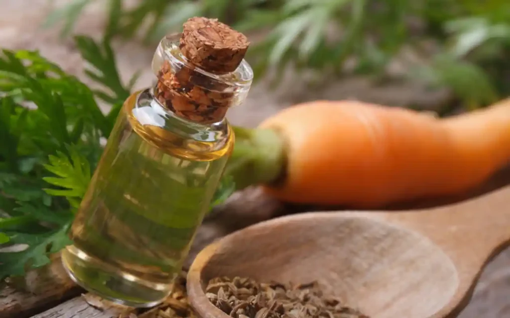 Descubre los beneficios del aceite de zanahoria hoyv