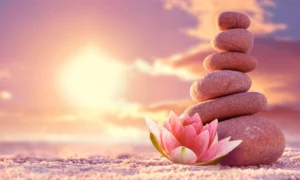 Luna Nueva en Cáncer Horóscopo semanal del 22 al 28 junio