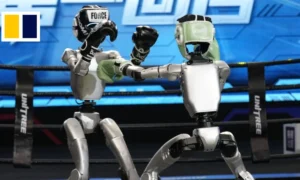 Robots Boxeadores lo último en la tecnología artificial | Qué Onda