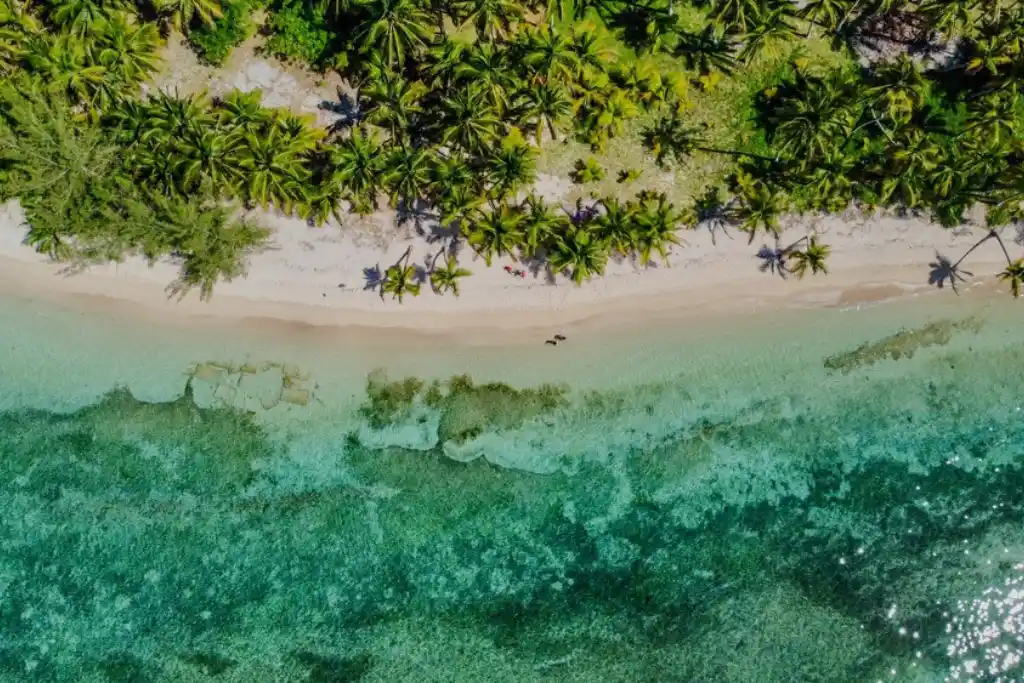 Vista aérea de una playa tropical de arena blanca con palmeras y aguas cristalinas en Isla de Lobos, Veracruz | Qué Onda