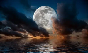 Luna llena | Qué Onda