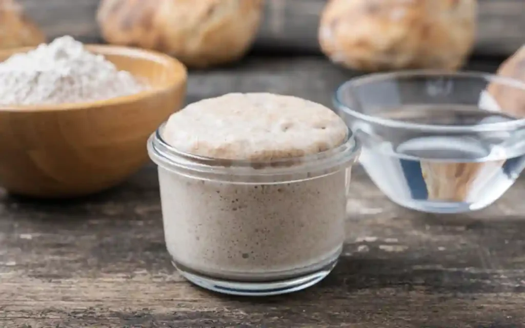 Fermentados y bienestar digestivo natural