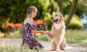 San Valentín 2026 una niña interactúa con un perro Golden Retriever | Qué Onda