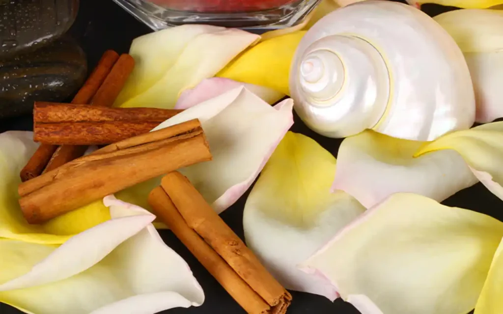 Ramas de canela y pétalos de rosa junto a un caracol blanco como elementos para un ritual de autoestima | Qué Onda