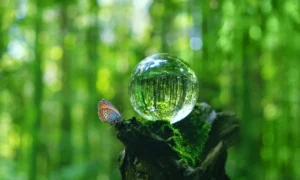 Horóscopo de la semana esfera cristalina y mariposa | Qué Onda