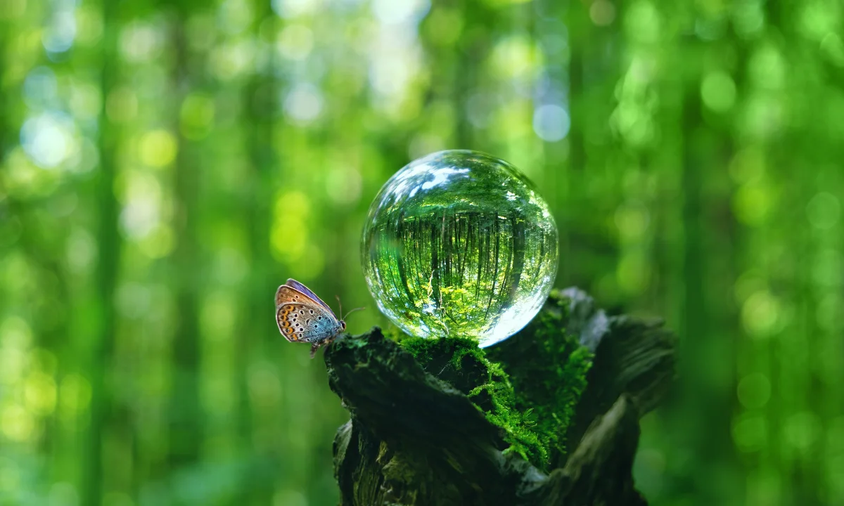 Horóscopo de la semana esfera cristalina y mariposa | Qué Onda